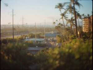 what is the cost of living in Maui for a month